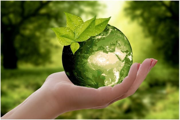 7 Sustainable Installations That Boost Property Value Today